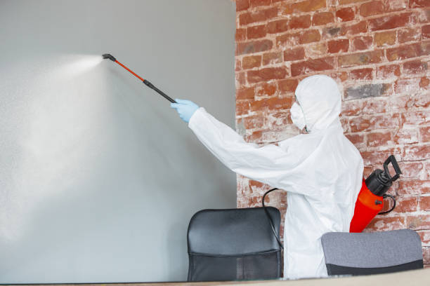 Best Industrial Mold Remediation  in Grand Island, NE