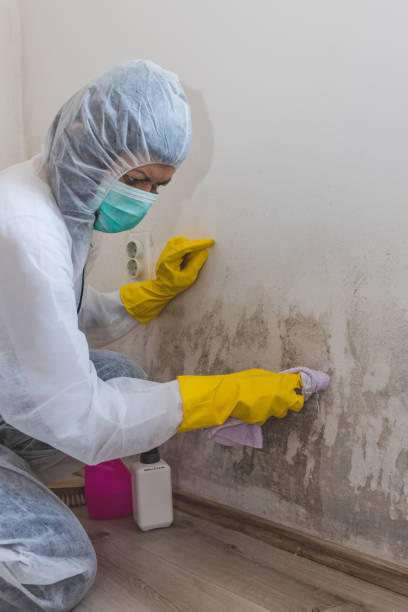Best Airborne Mold Testing  in Grand Island, NE