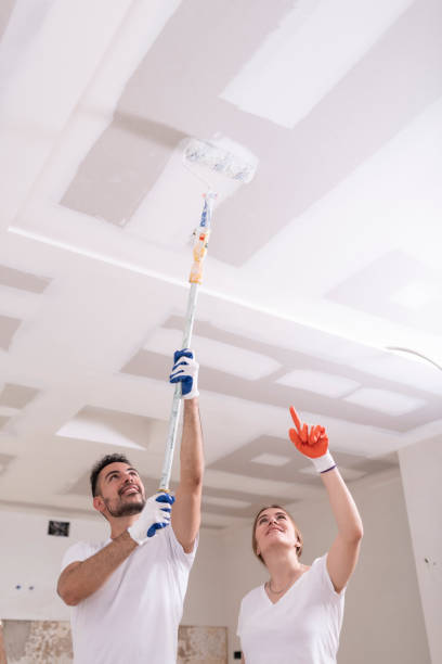 Best Industrial Mold Remediation  in Grand Island, NE