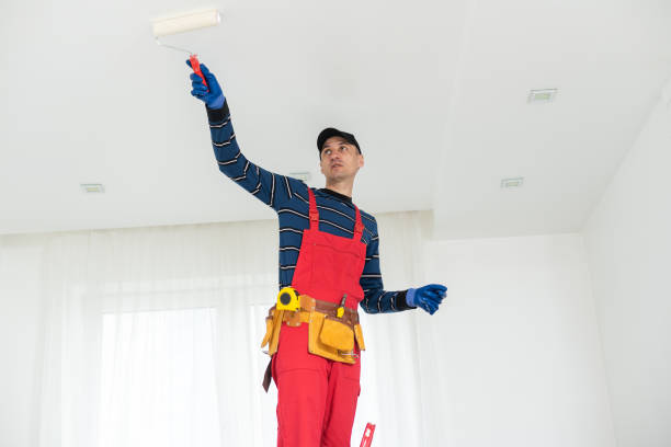 Best Dehumidification Services  in Grand Island, NE