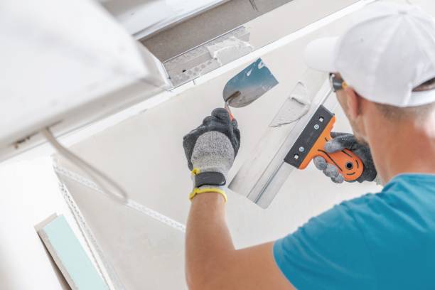 Best Mold Remediation for Healthcare Facilities  in Grand Island, NE